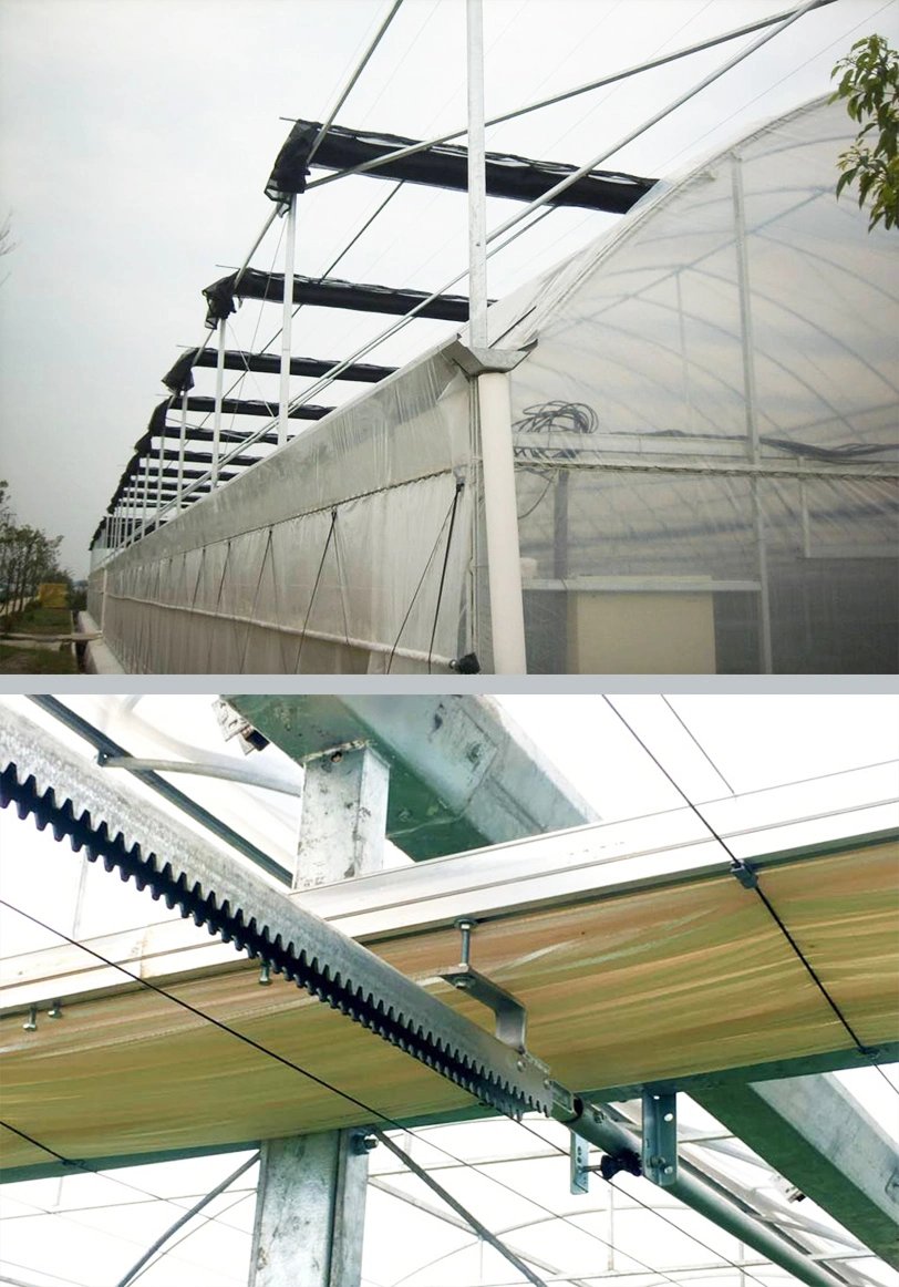 Agricultural Multi Span Po/PE Film Vegetable Greenhouse with Cooling System