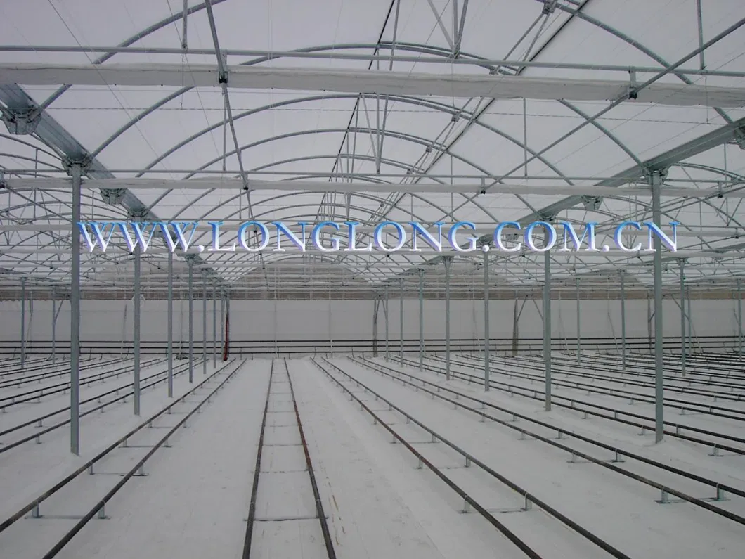 Superb Greenhouse Framework for EU Type Multiple Greenhouse