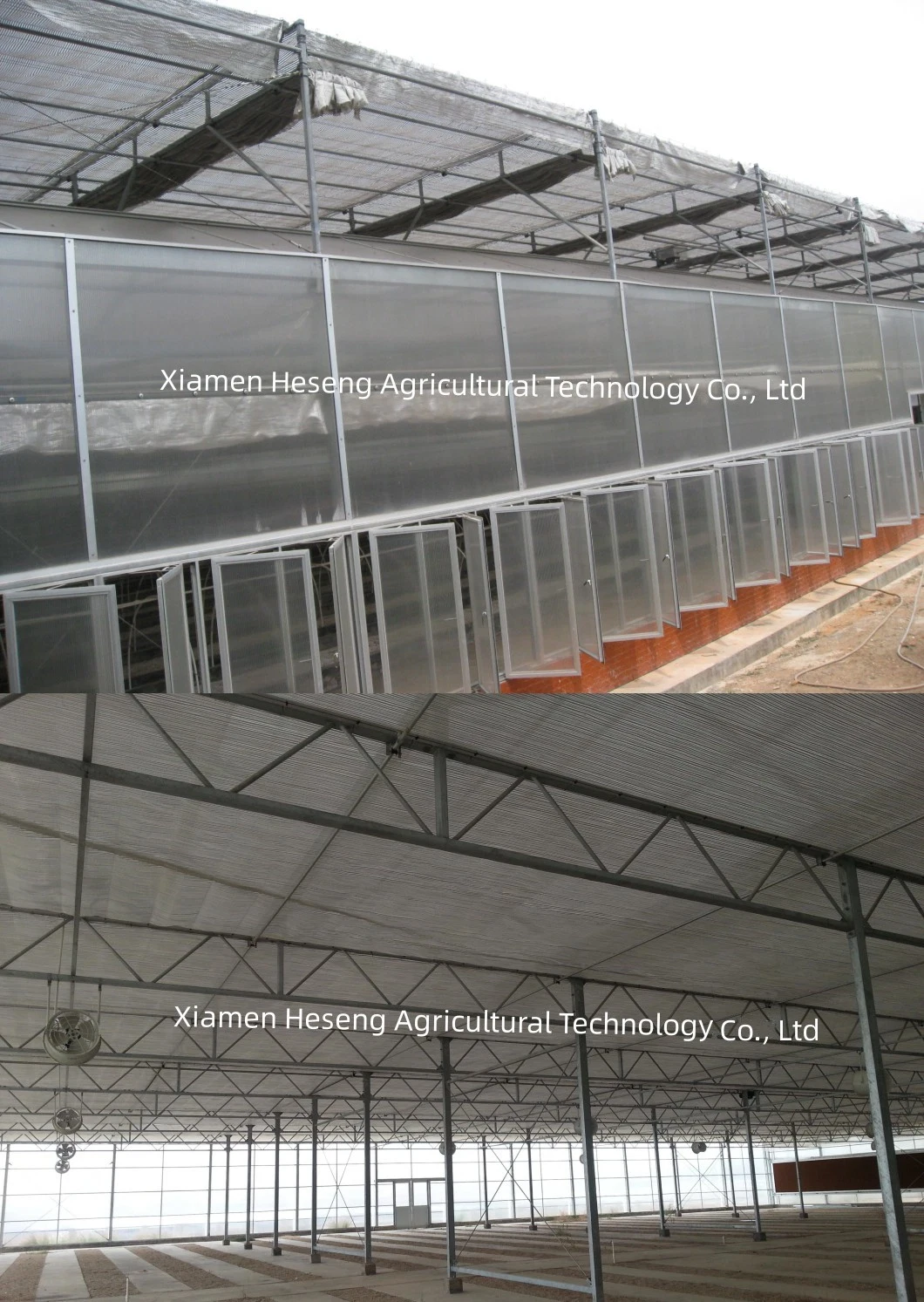 8mm/ 10mm Used Polycarbonate Greenhouse Commercial Multi Span/Single Span PC Sheet Greenhouse for Sale