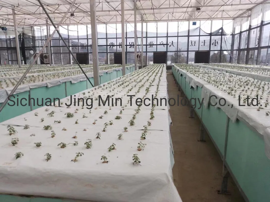 Agricultural Multi Span PE Film Vegetable Greenhouse with Cooling System