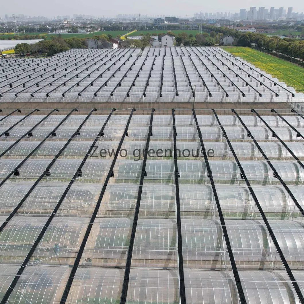 China Made Multi-Span Hydroponics Plastic Film /Glass Agricultural Greenhouse with Polycarbonate Sheet for Commercial Farm