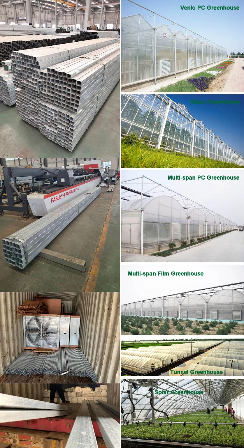 Agricultural Multi Span Po/PE Film Vegetable Greenhouse with Cooling System