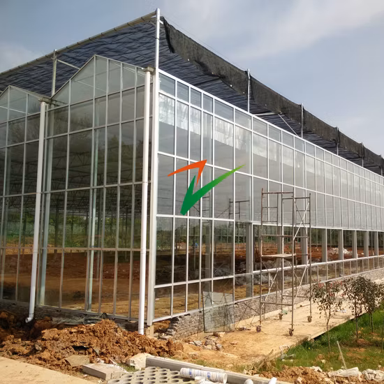 Los invernaderos fabrican el invernadero de cristal de la tienda de cultivo del riego de refrigeración de la casa de la flor de la fresa del tomate del palmo múltiple