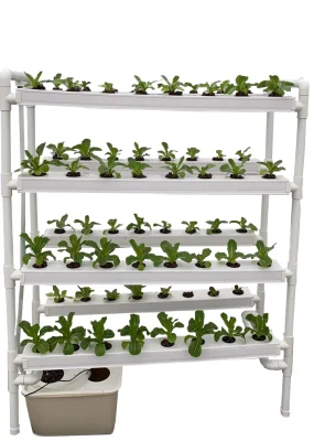 Mini Grow Nft Kit Hidropónico Multi
