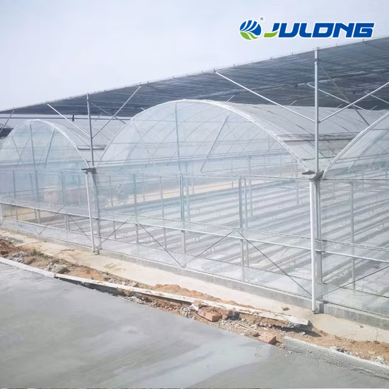 Proveedor de invernaderos de China de alta calidad con sistema hidropónico Sistema de enfriamiento para tomates