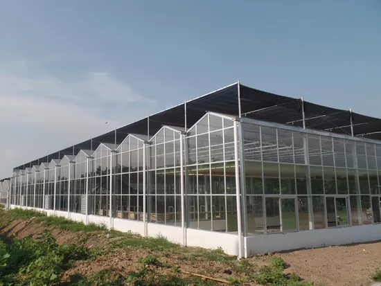 Invernadero de policarbonato con lámina de PC para techo triangular agrícola con almohadilla de enfriamiento y ventiladores