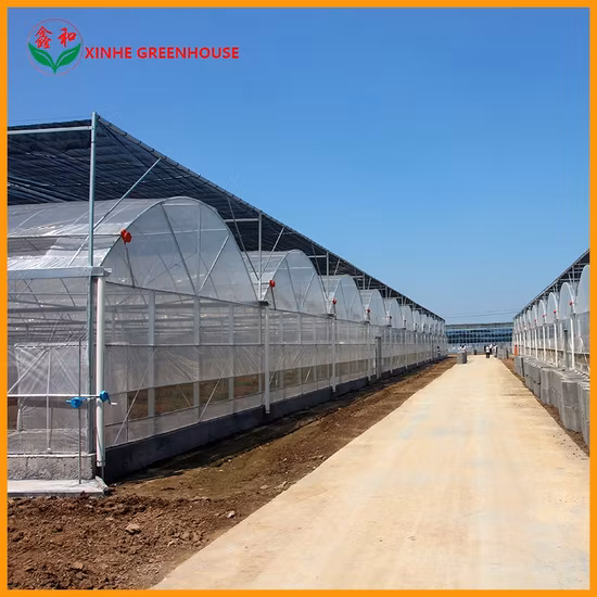Multi Agrícola/Comercial