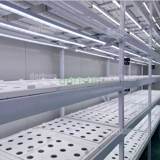 Contenedor de granja de invernaderos con sistema de calefacción y refrigeración de fácil control de 9600*650*2350 mm