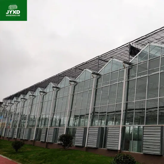 Invernadero de vidrio templado doble hueco Venlo con sistema de cultivo hidropónico para hortalizas