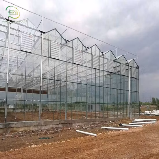 Invernadero comercial agrícola con acuaponía/ventilador/calentador/caldera/red para plantas y frutas